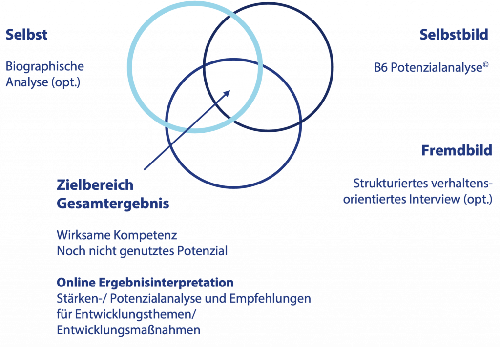 B6 Development Assessment pur Balanced Six